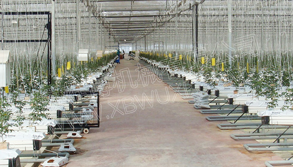 如何提高栽培槽的使用壽命？